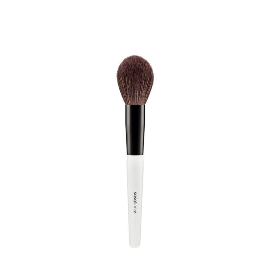 Powder Brush