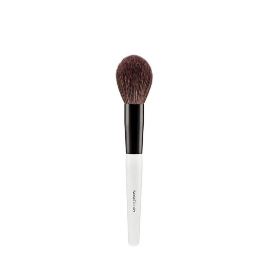 Powder Brush