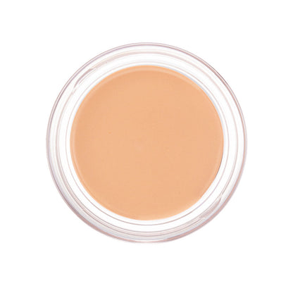 Yayasan Sentuhan Ajaib SPF30 11.5g