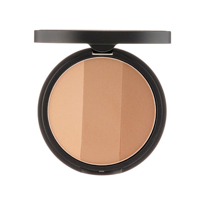 Kelas Seni Oleh Rodin Shading Master + Berus 2 helai